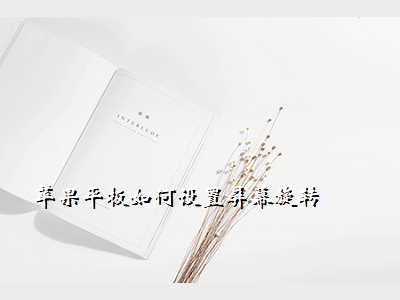 苹果平板如何设置屏幕旋转