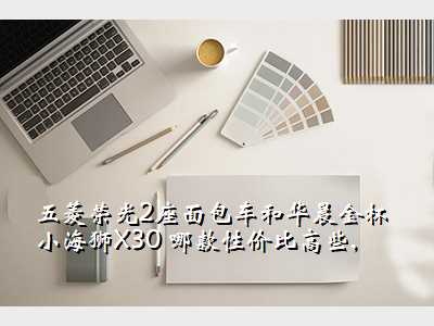 五菱荣光2座面包车和华晨金杯小海狮X30 哪款性价比高些,