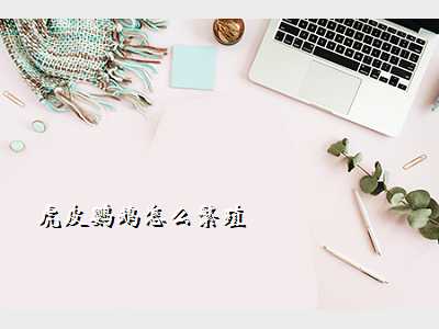 虎皮鹦鹉怎么繁殖