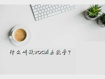什么叫做vocal系歌手?