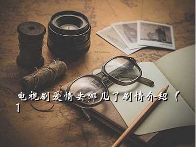 电视剧爱情去哪儿了剧情介绍(1