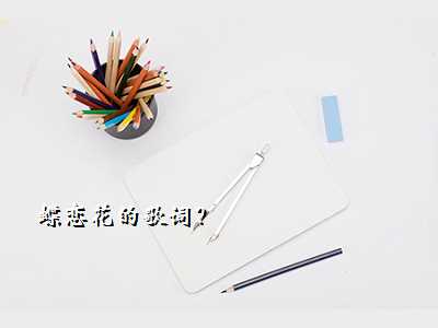 蝶恋花的歌词?