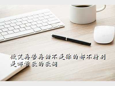 微笑再苦再甜不是你的都不特别 是哪首歌的歌词