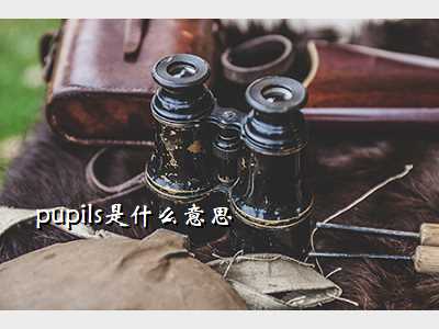 pupils是什么意思