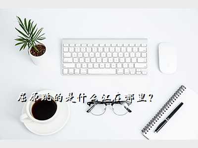 屈原跳的是什么江在哪里?